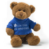 Gund- I’m the big sister/brother teddy bears