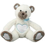 Baby Boy Comfort Bear