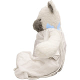 Baby Boy Comfort Bear