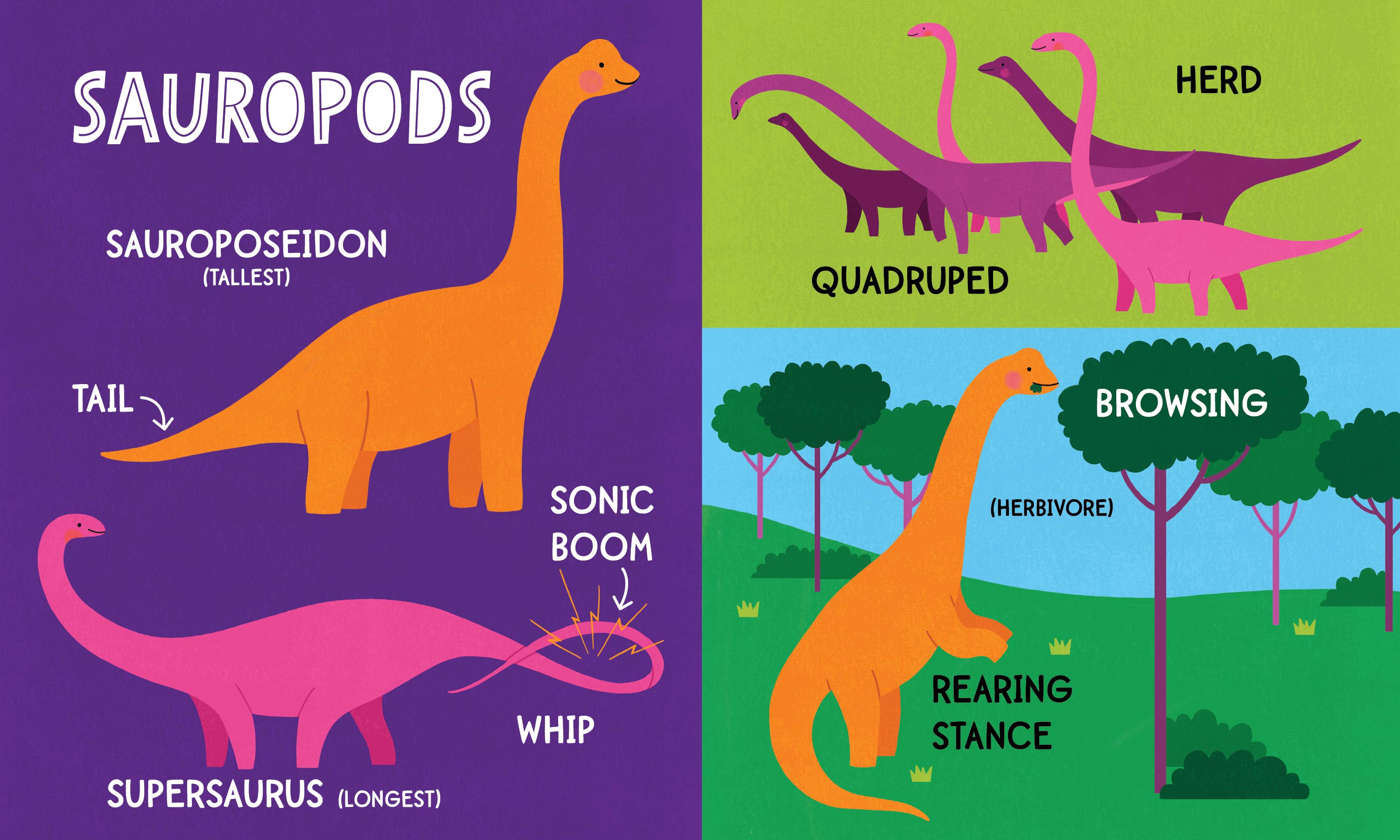 My First 100 Dinosaur Words