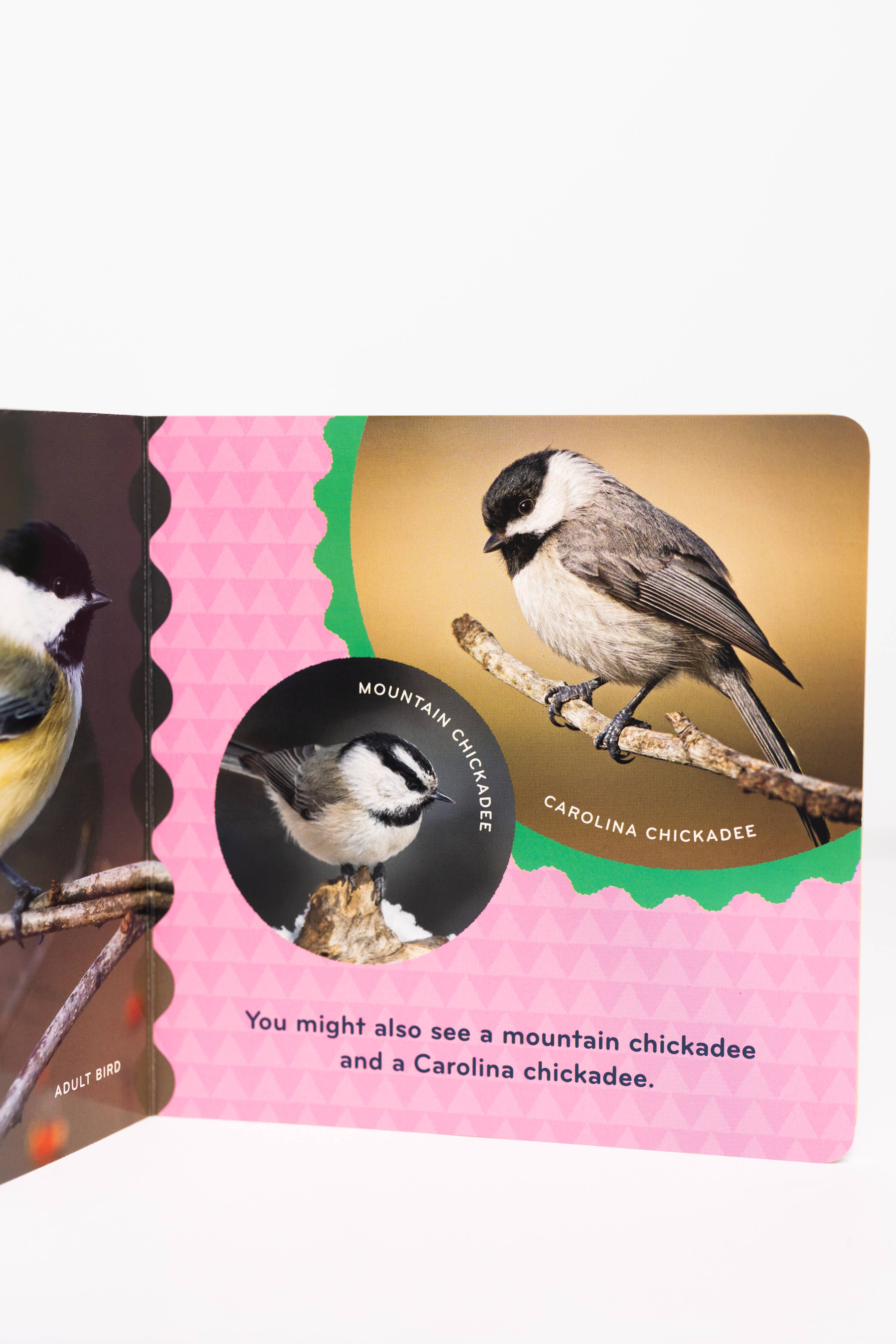 Nature Baby: Birds