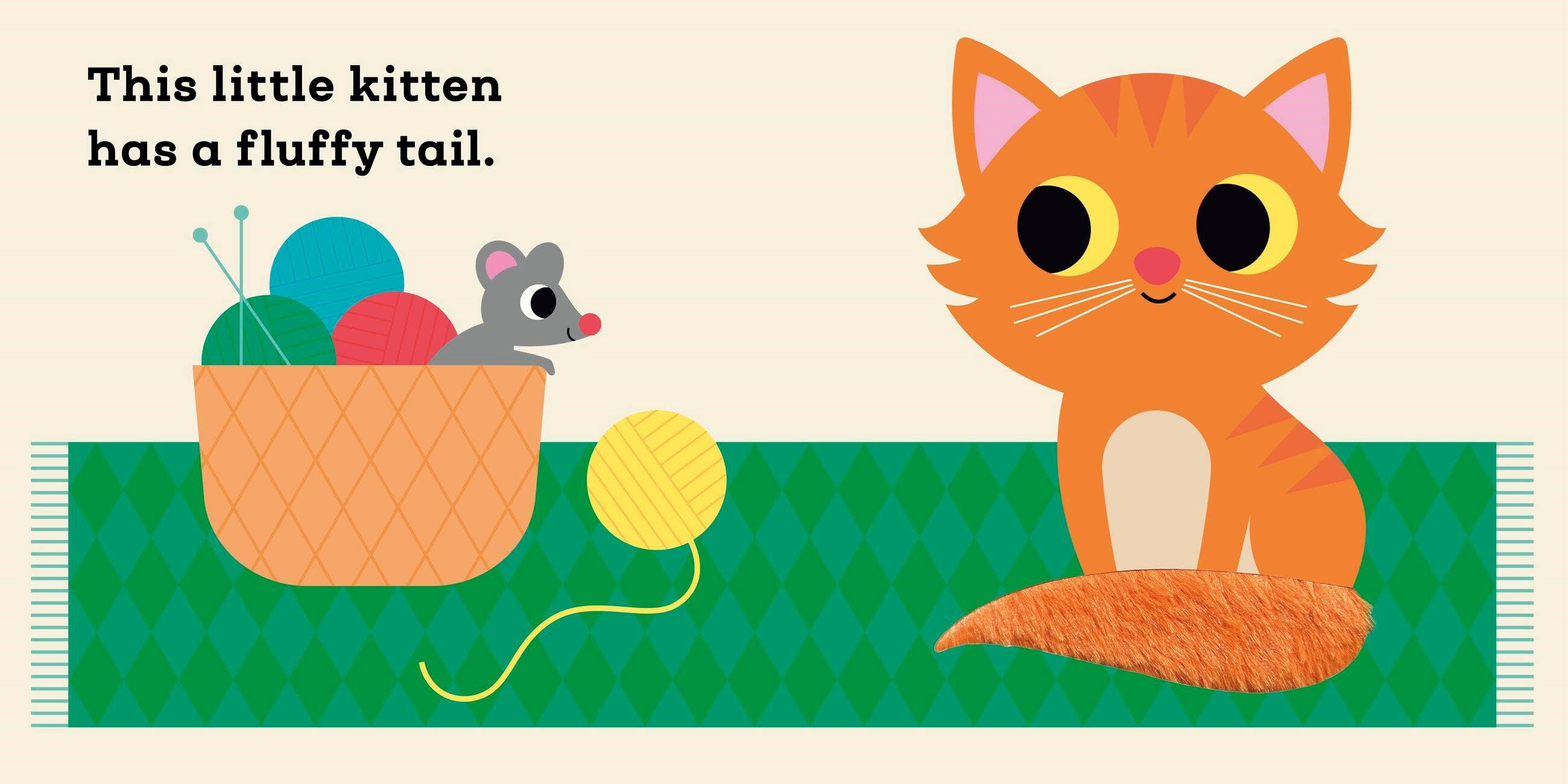This Little Kitten: A Touch and Feel Book