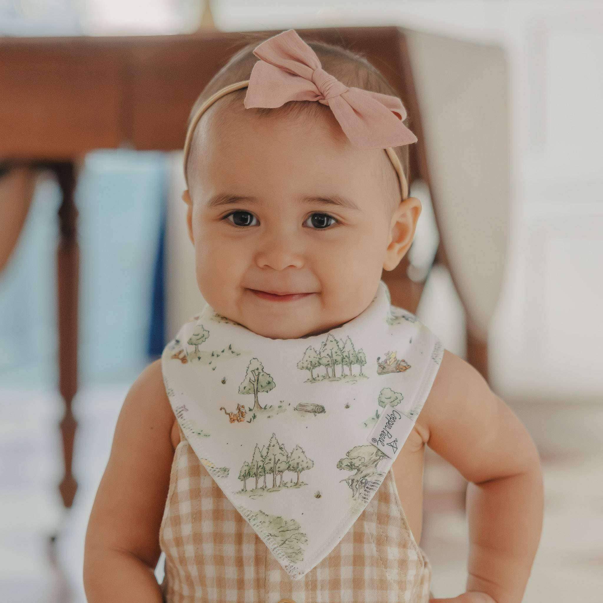 4 Pack Baby Bandana Bibs - Hundred Acre Wood