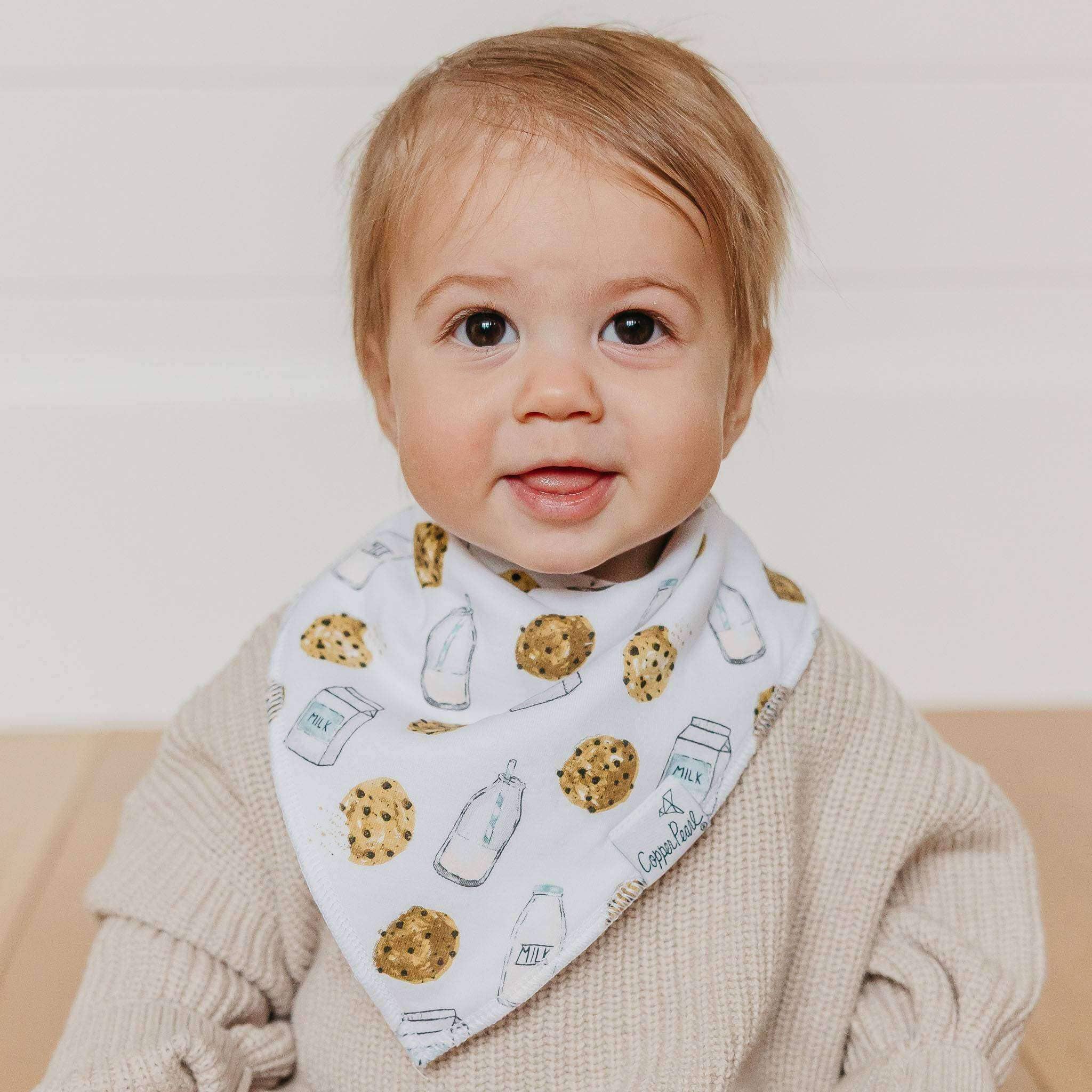 4 Pack Baby Bandana Bibs - Chip