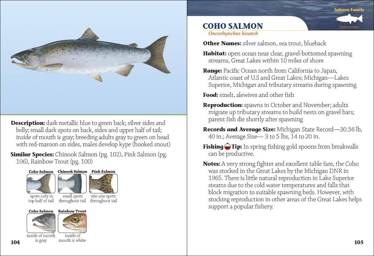Fish of Michigan Field Guide 2e