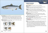 Fish of Michigan Field Guide 2e