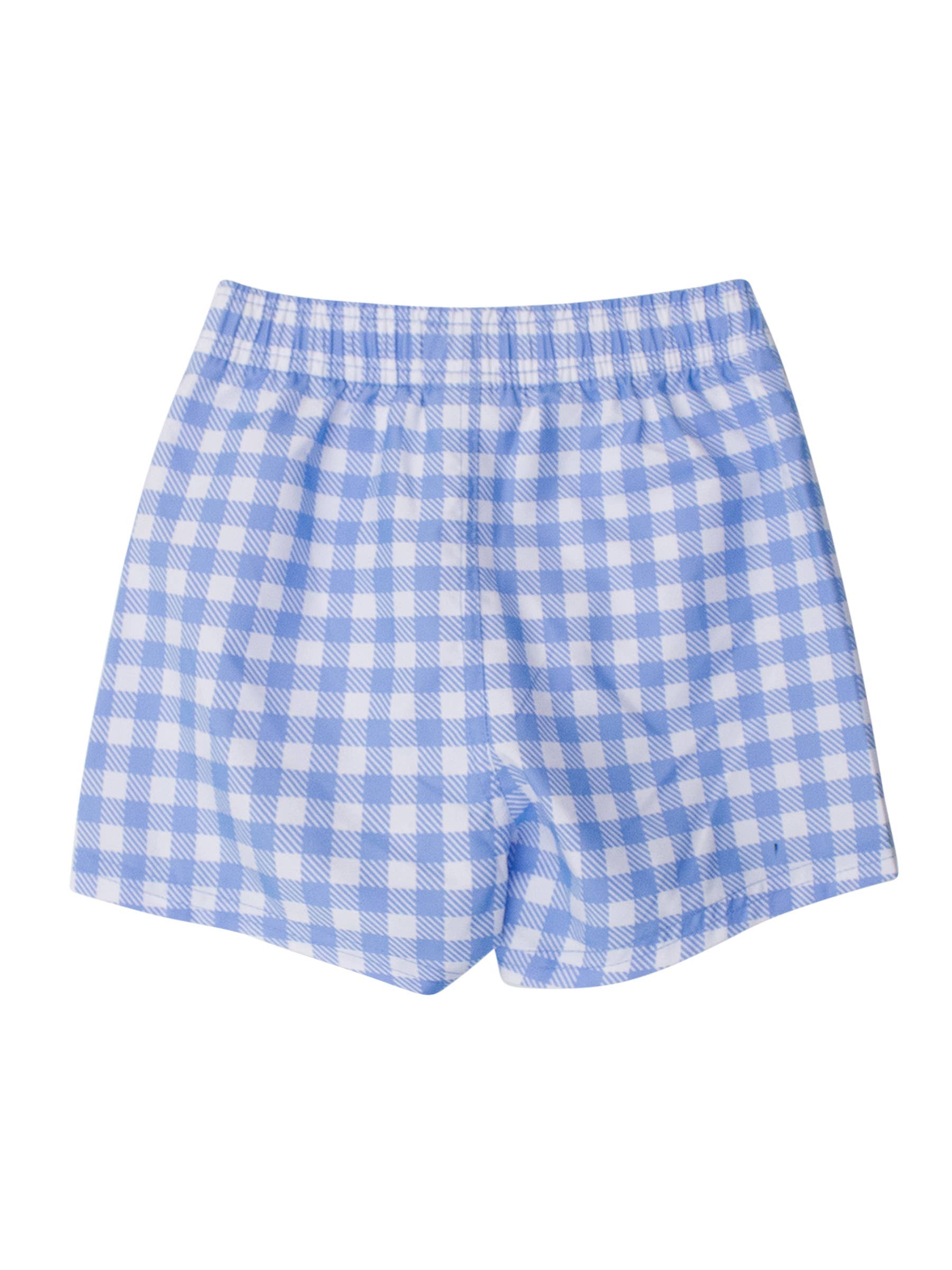 Boys Periwinkle Blue Gingham Swim Trunks