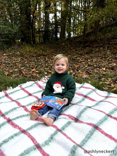 Mud Pie GREEN SANTA ROLLNECK TODDLER SWEATER