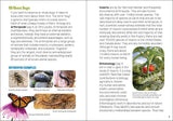 Insects & Bugs for Kids