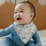 4 Pack Baby Bandana Bibs - Tatooine
