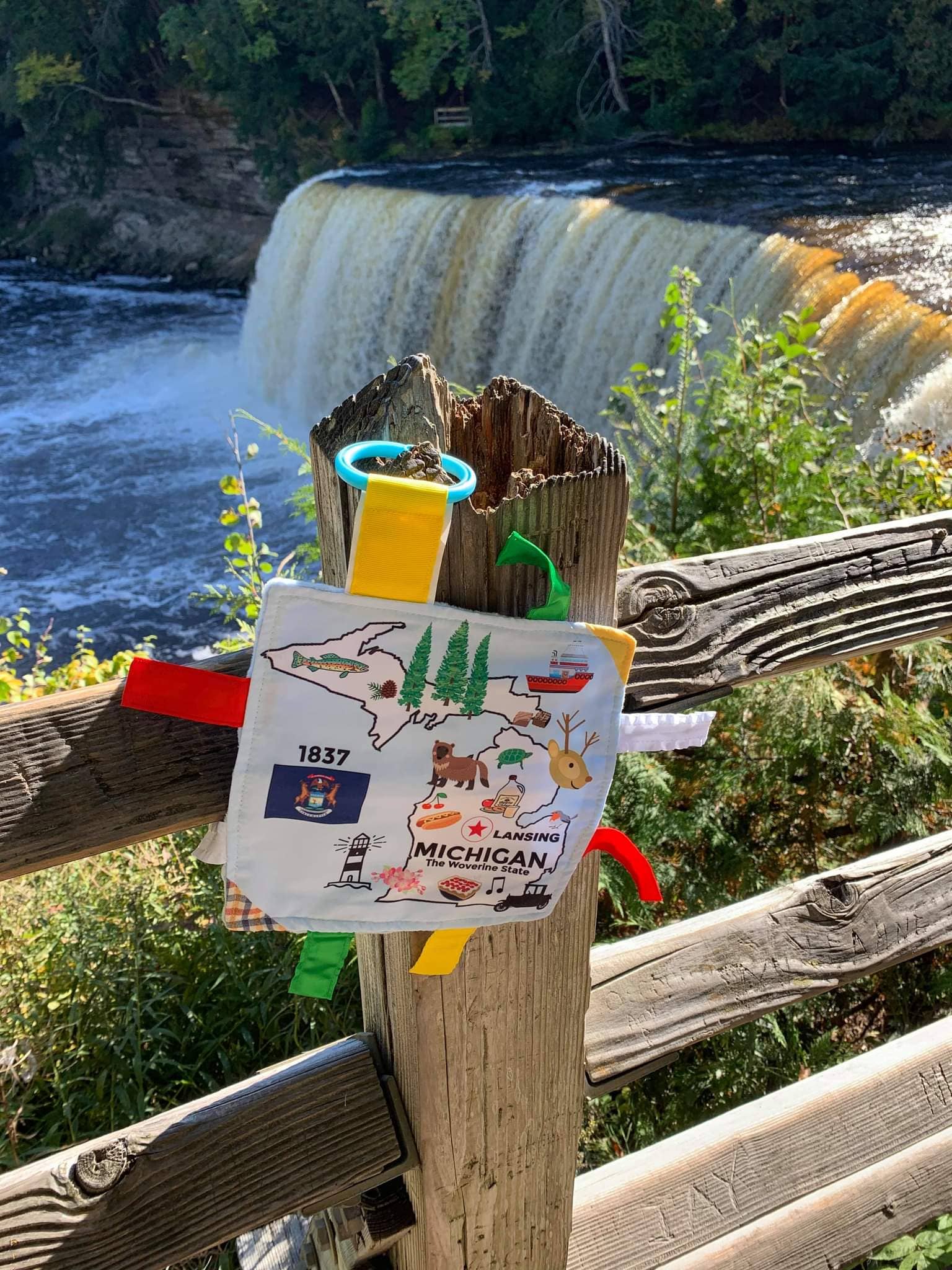 Michigan State Baby Learning Crinkle Tag Square 8"x 8" Toy