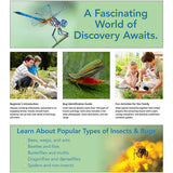 Insects & Bugs for Kids