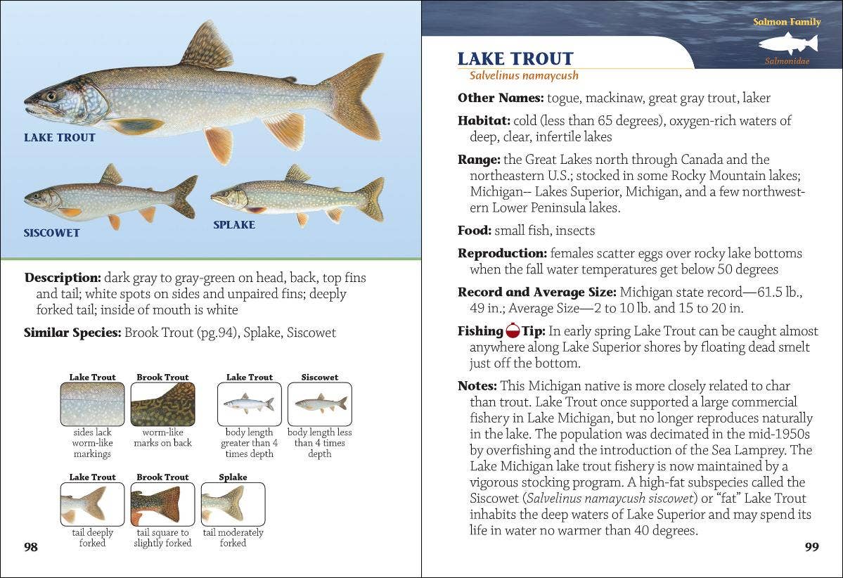 Fish of Michigan Field Guide 2e