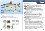Fish of Michigan Field Guide 2e