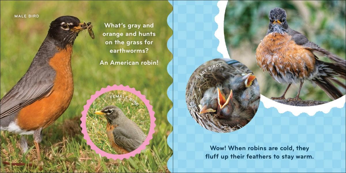 Nature Baby: Birds