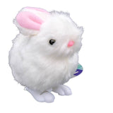 Farm Fresh Fuzzy Bunny Wind Ups, Spring, Hopping