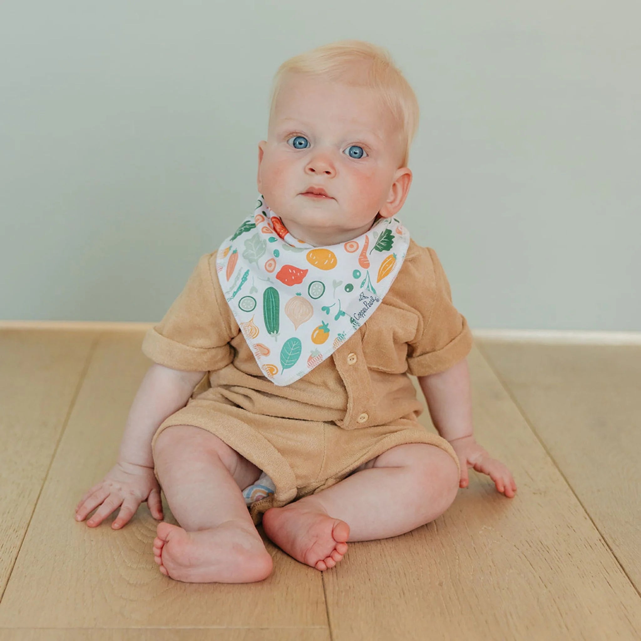 Copper Pearl Veggies Bandana Bib Set (4-Pack)