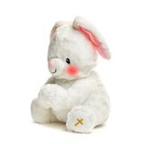 Paws for Prayer - Bunny