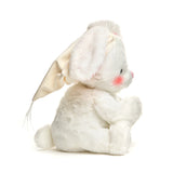 Paws for Prayer - Bunny