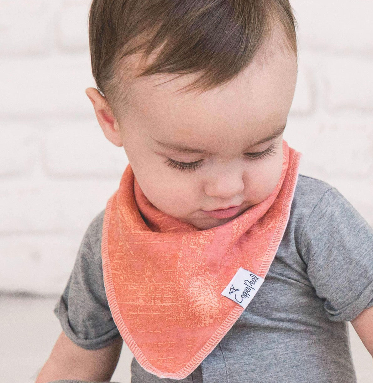Copper Pearl | Baby Bandana Bibs - Bison
