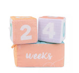 Milestones And Moments Block
