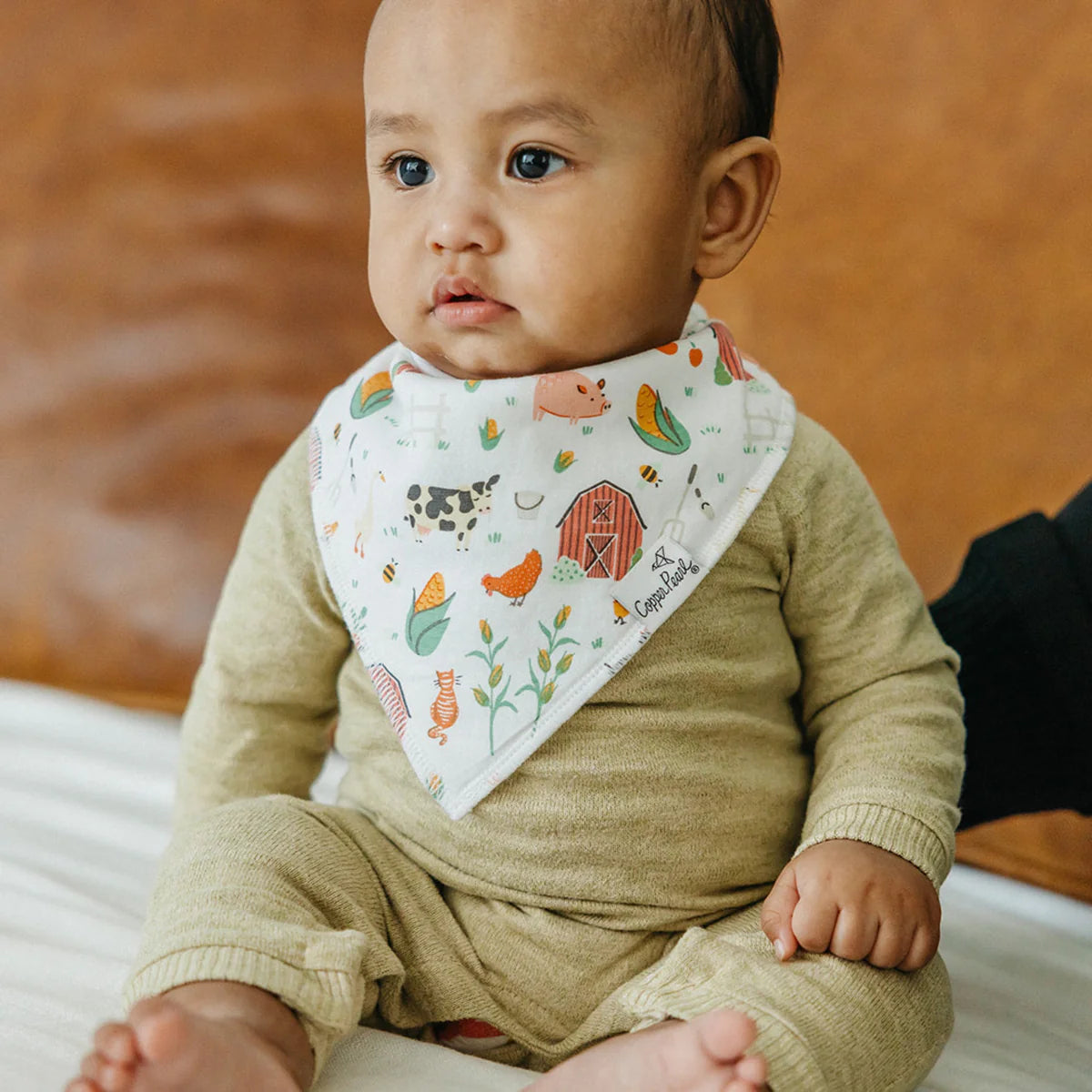 Farmstead Bandana Bibs Set