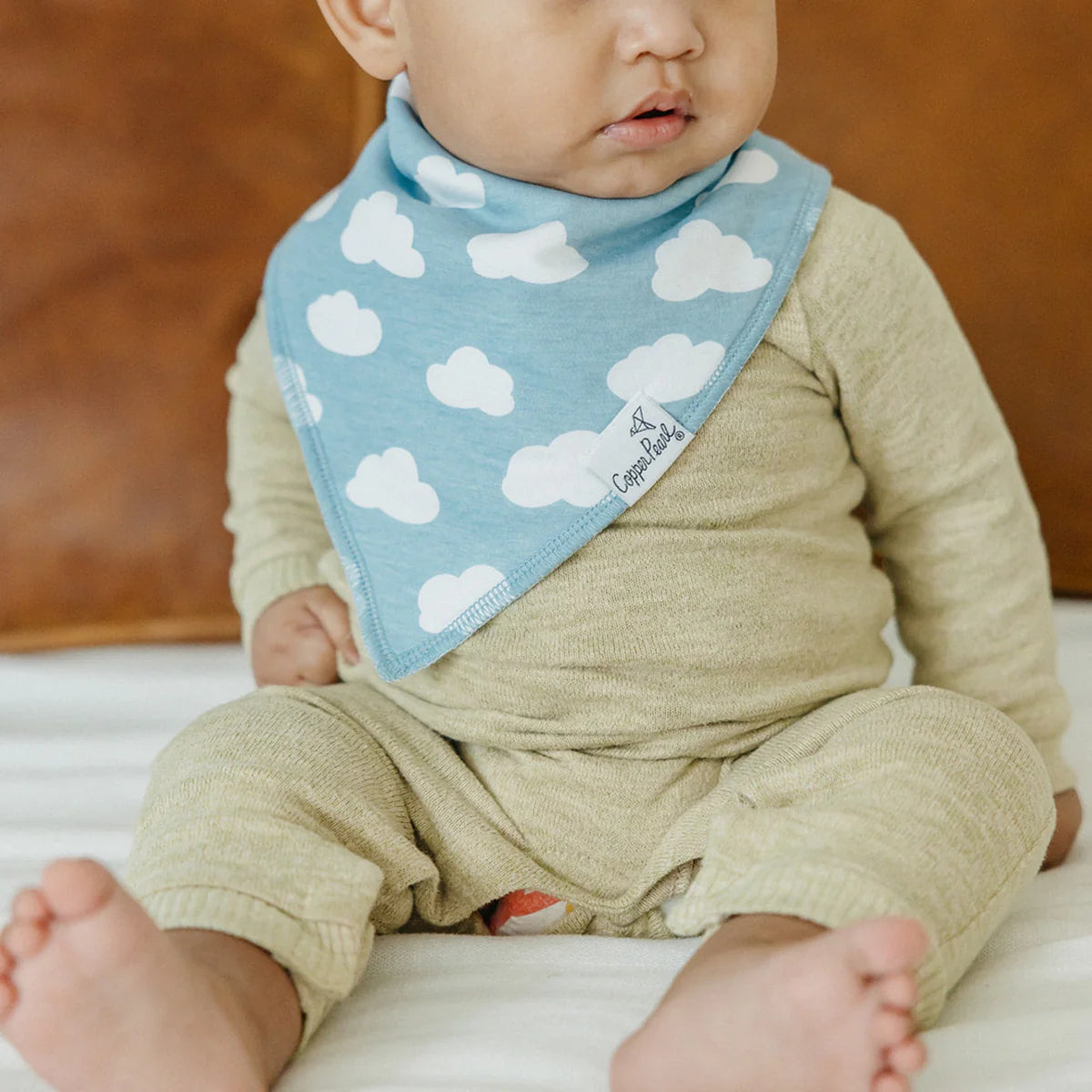 Farmstead Bandana Bibs Set