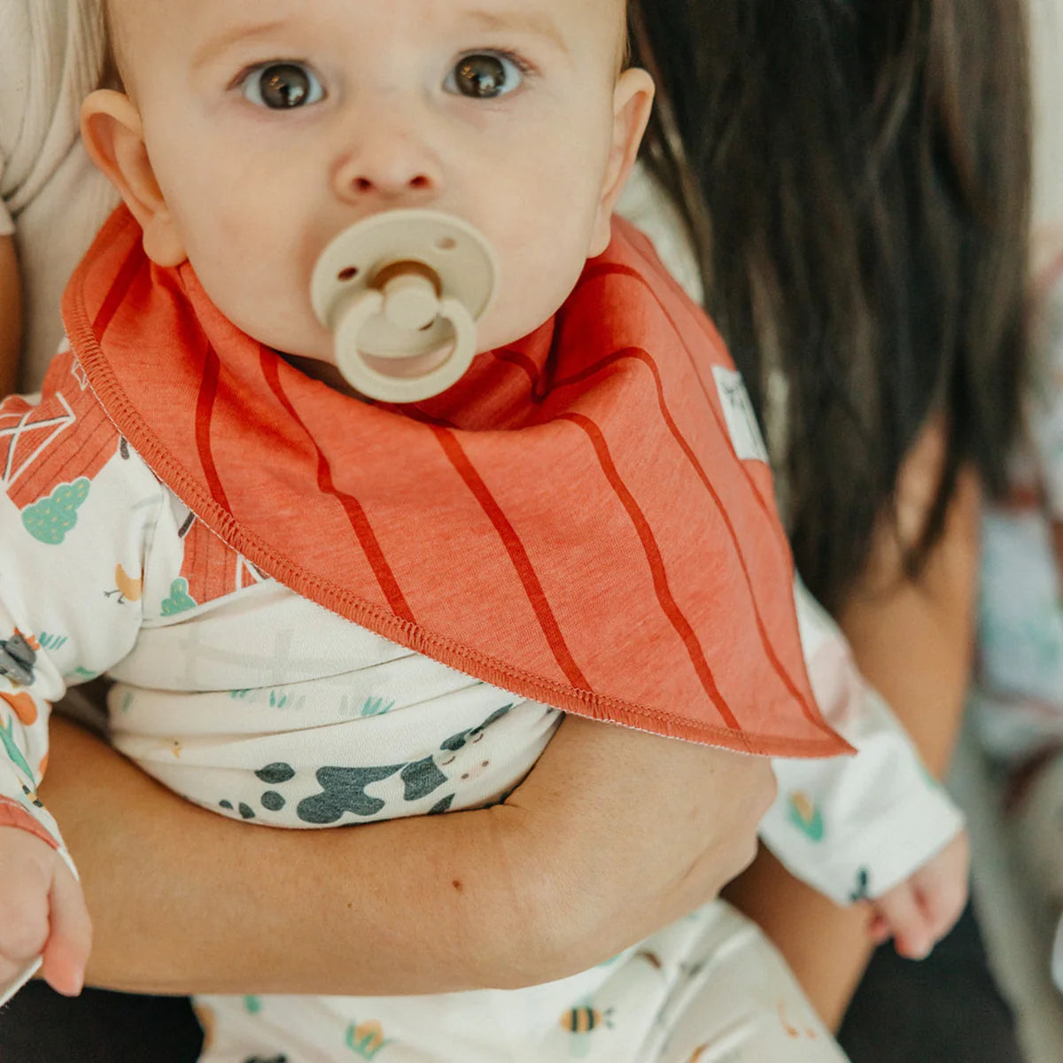 Farmstead Bandana Bibs Set