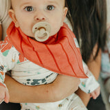 Farmstead Bandana Bibs Set