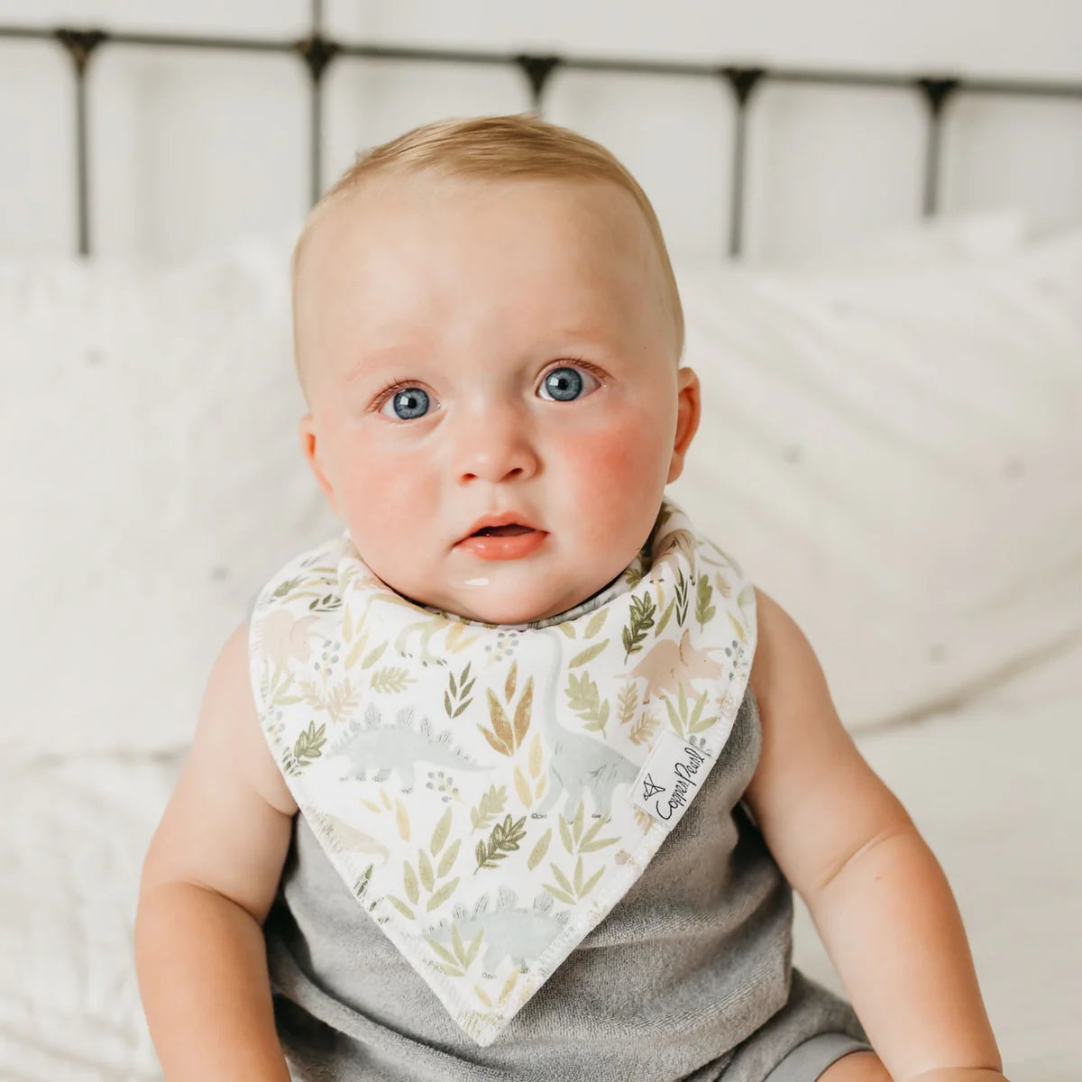 Rex - Baby Bandana Bibs