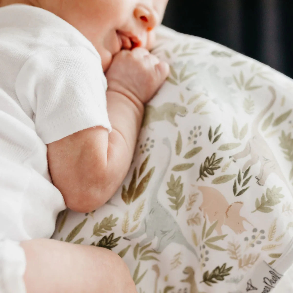 Rex - Burp Cloth Set (3 pack)