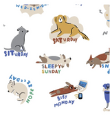 Magnetic Me | Modal Magnetic Footie - Dog Days
