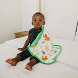 Sesame Friends Security Blanket (2-Pack)