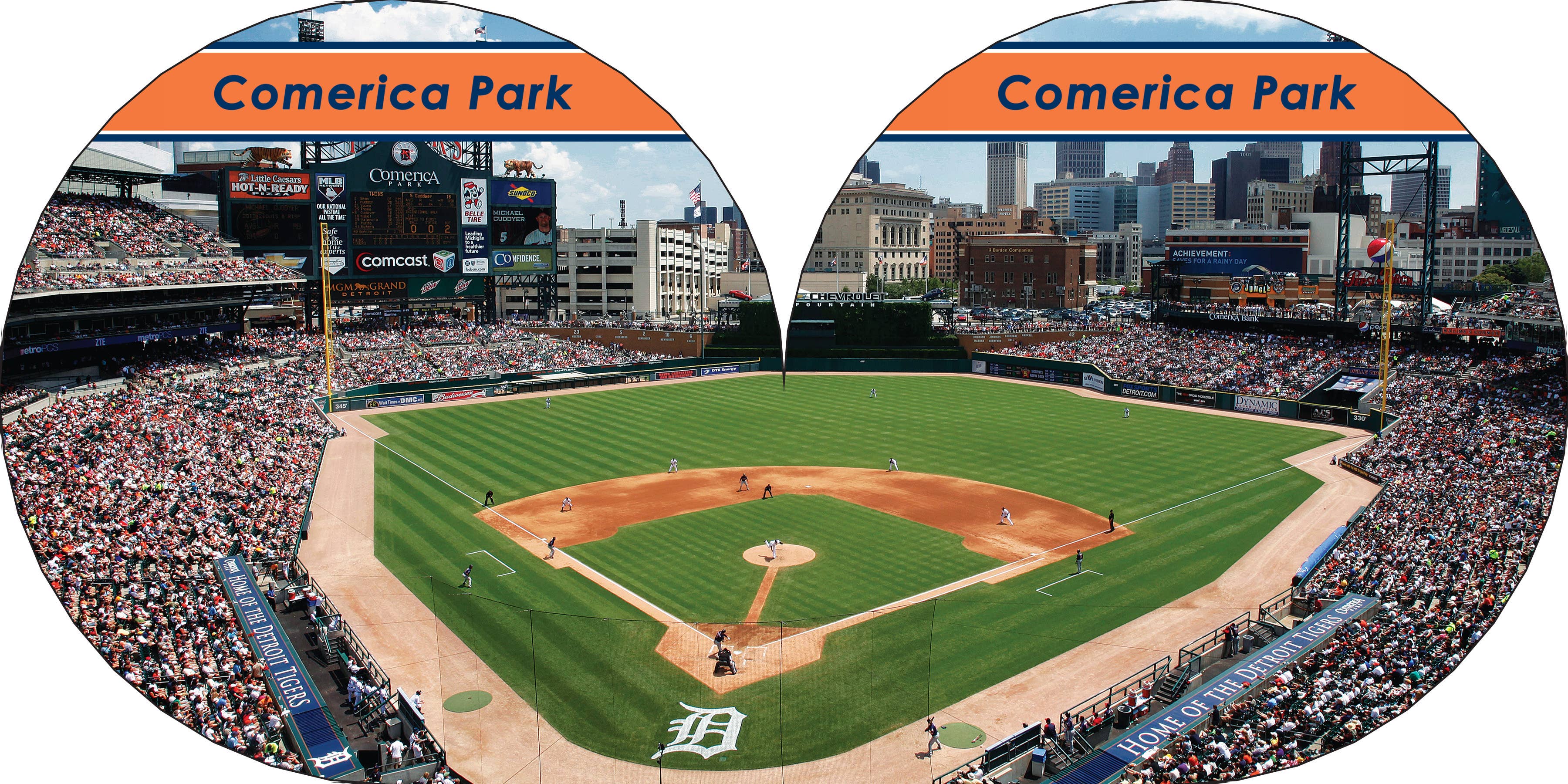 Detroit Tigers 101