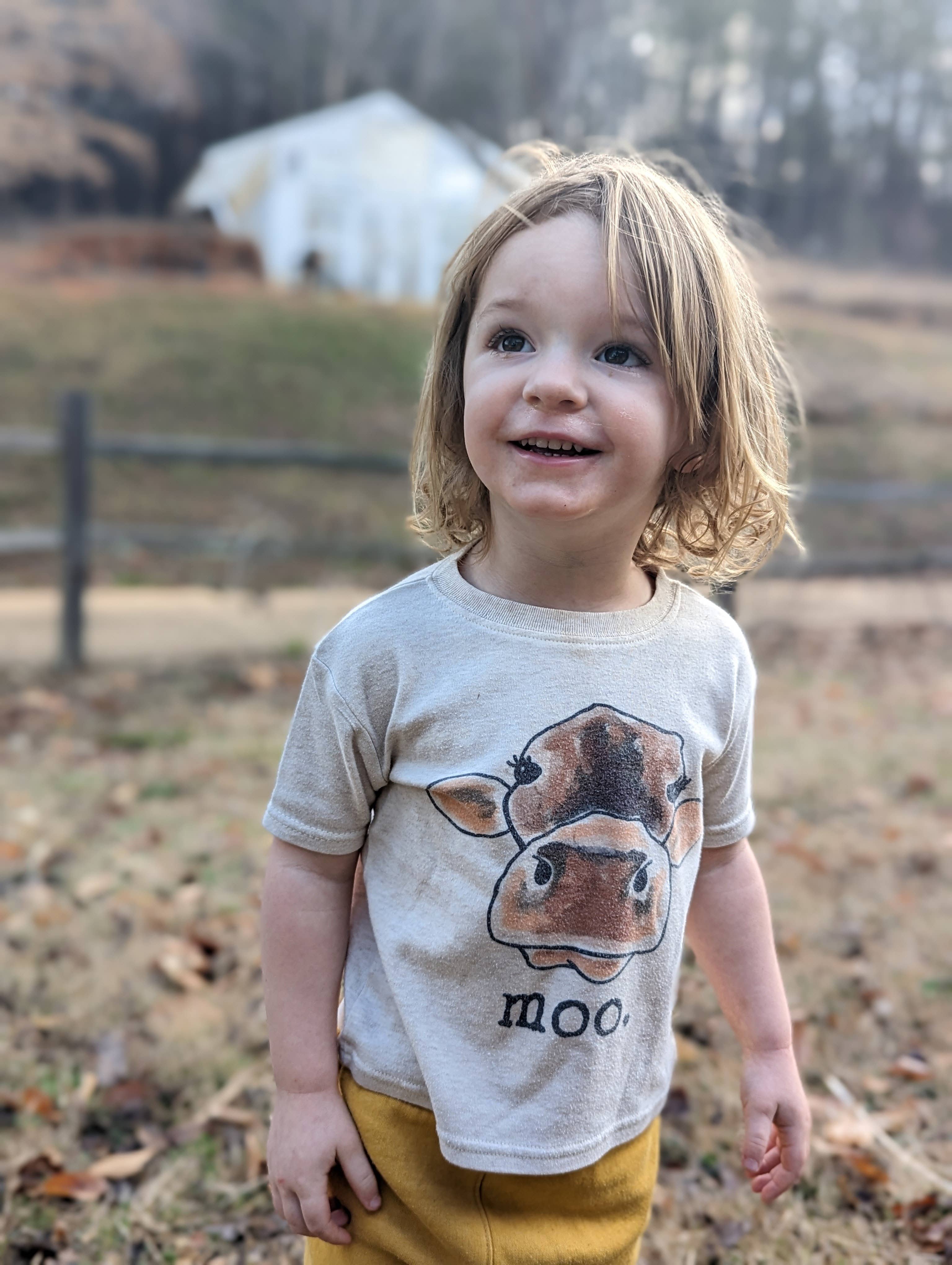 MOO Cow Country