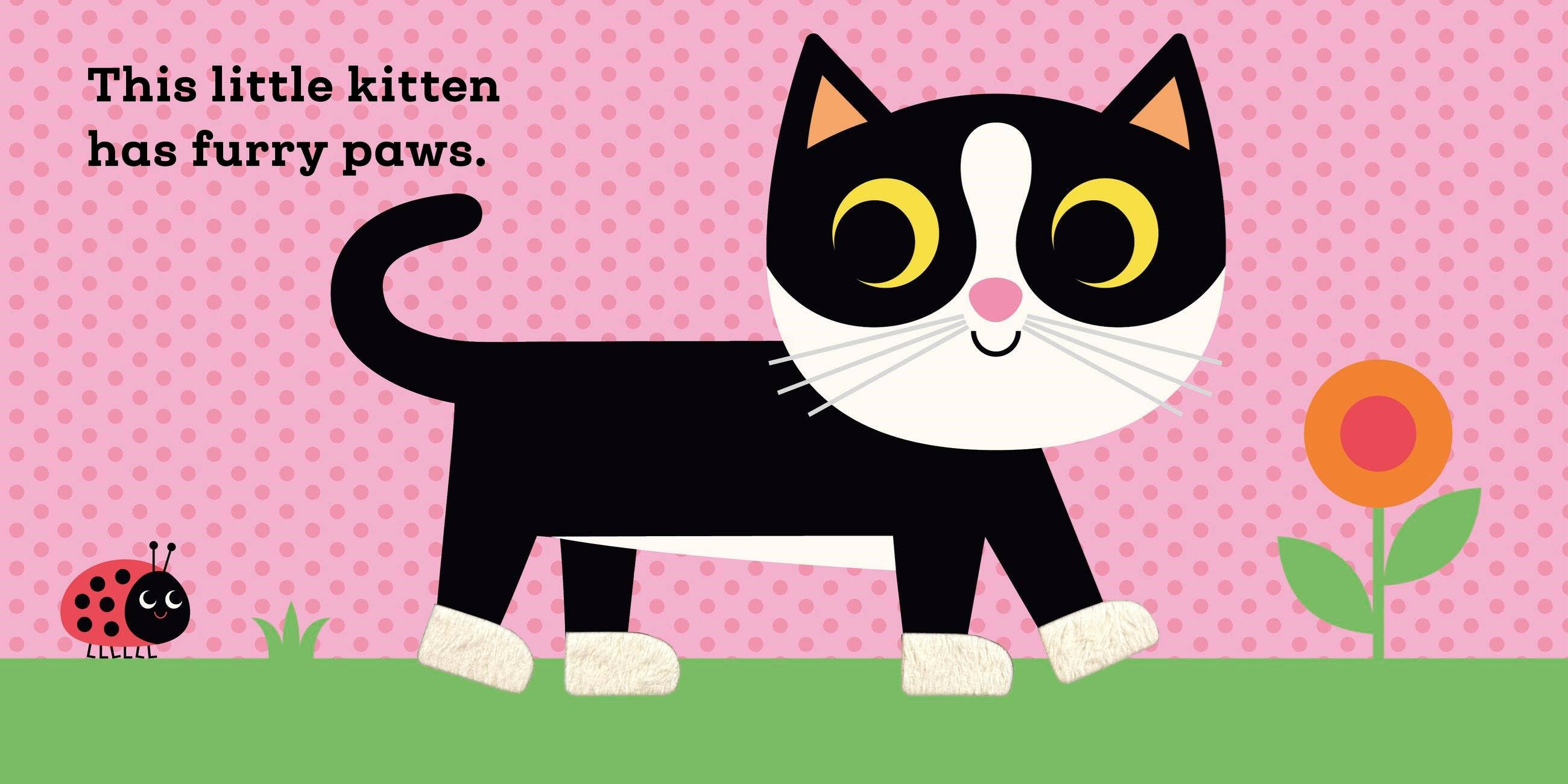 This Little Kitten: A Touch and Feel Book
